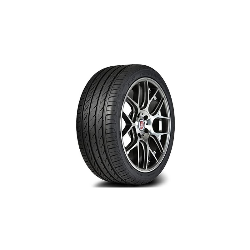 Delinte 205/55ZR16 DH2
